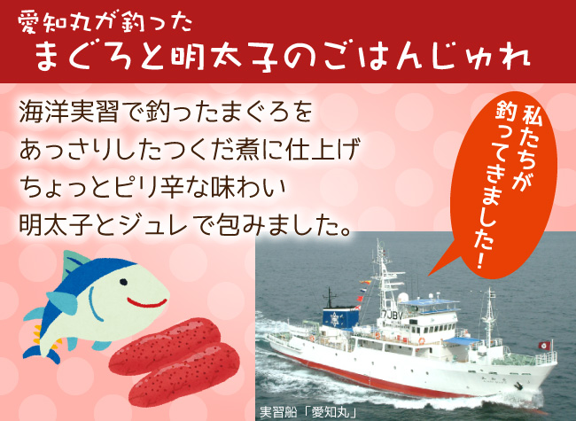 愛知丸ごはんって?